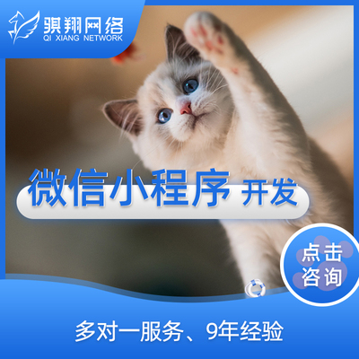 服務外包供應商-IT軟件,品牌設計,網站外包服務商平臺